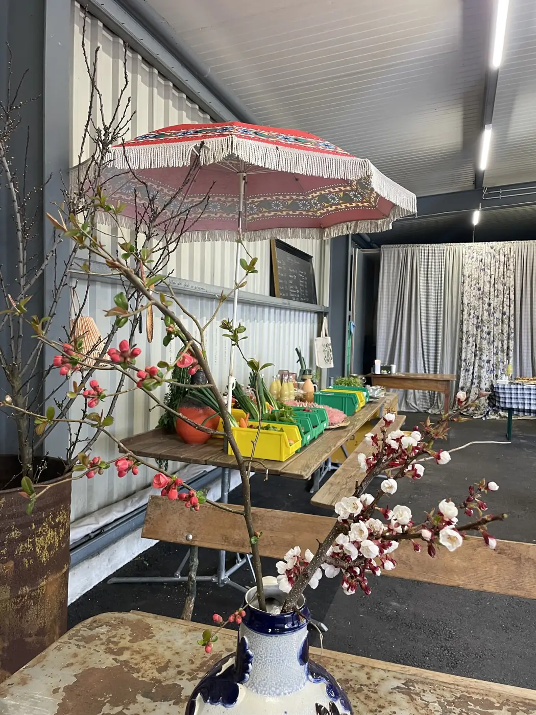 Blütenzweige und Sonnenschirm in der Halle