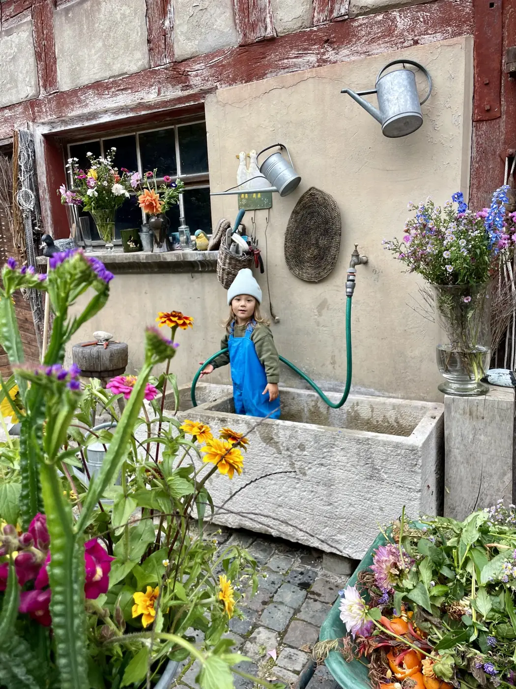 Blumen und Wasser am Brunnen im Hof